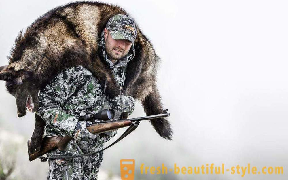 La chasse d'hiver lorsque la saison ouvre, conseils pour les débutants, en particulier l'équipement