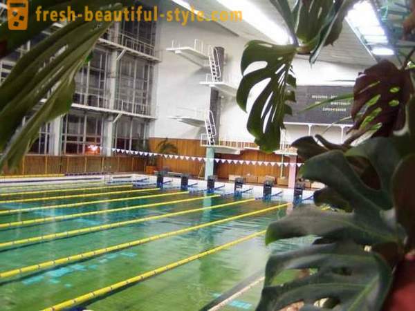 Piscine « Vodnik » à Arkhangelsk: comment commencer à nager?