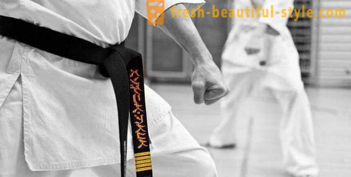 Types d'arts martiaux japonais: la description, les caractéristiques et les faits intéressants