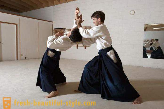 Types d'arts martiaux japonais: la description, les caractéristiques et les faits intéressants