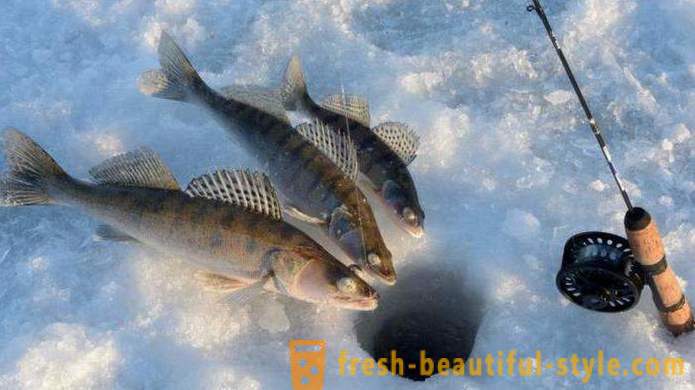 Culturel et de la pêche « La pêche sur Kalinovka » à Ekaterinburg: comment obtenir les commentaires