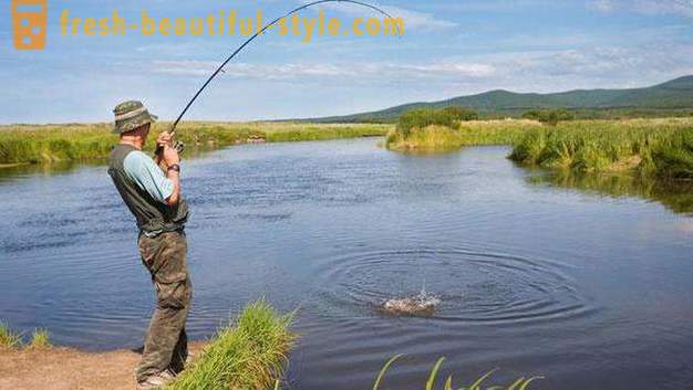 Pêche gratuite dans les banlieues - où aller? étangs libres à Moscou