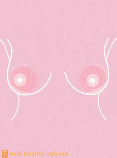 11 choses utiles à savoir sur les mamelons