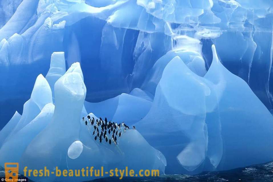 Camye icebergs anciens du monde