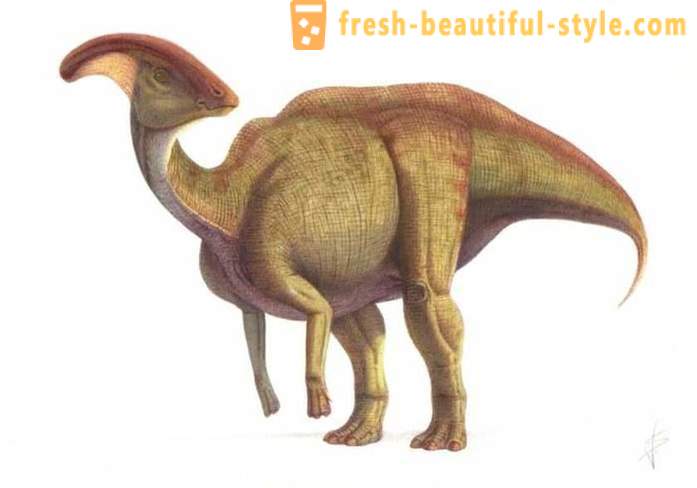 Résultats uniques associés aux dinosaures