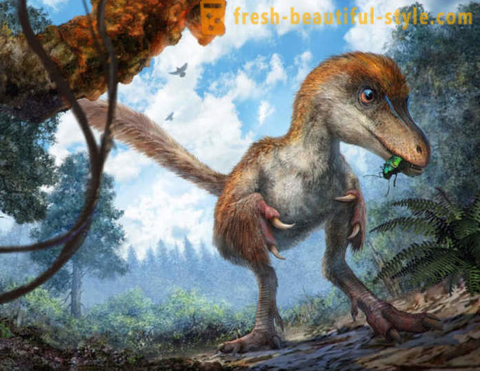 Résultats uniques associés aux dinosaures