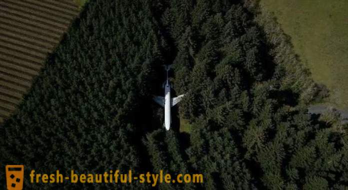 Américaine, 15 ans de vie dans un avion au milieu de la forêt