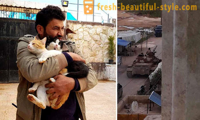 L'homme est resté dans la guerre d'Alep déchirée pour prendre soin des animaux abandonnés