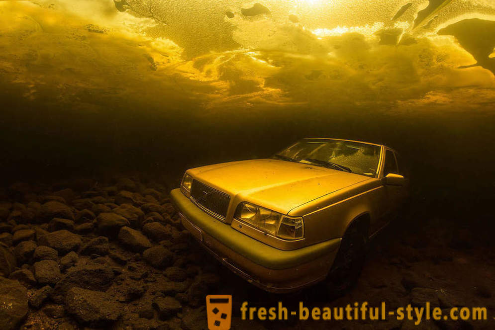 Images incroyables des gagnants du concours de photographie sous-marine