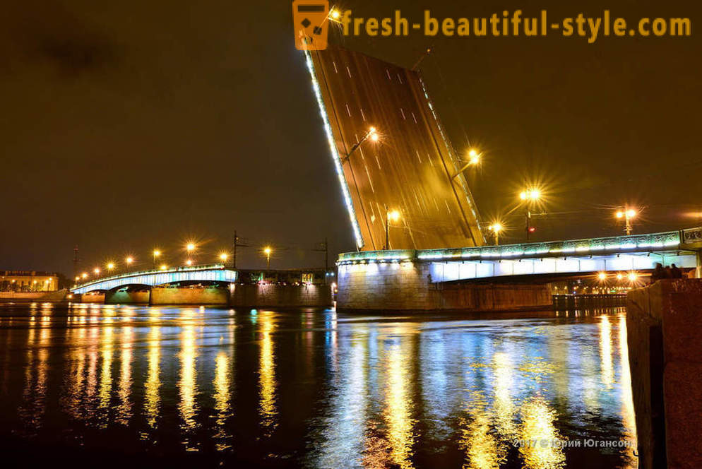 Beauté magique des ponts de Saint-Pétersbourg
