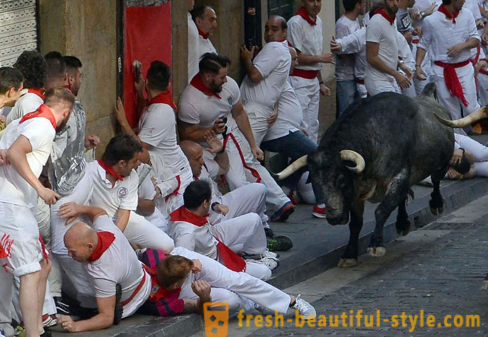 Comment était le fonctionnement annuel des taureaux à Pampelune, Espagne