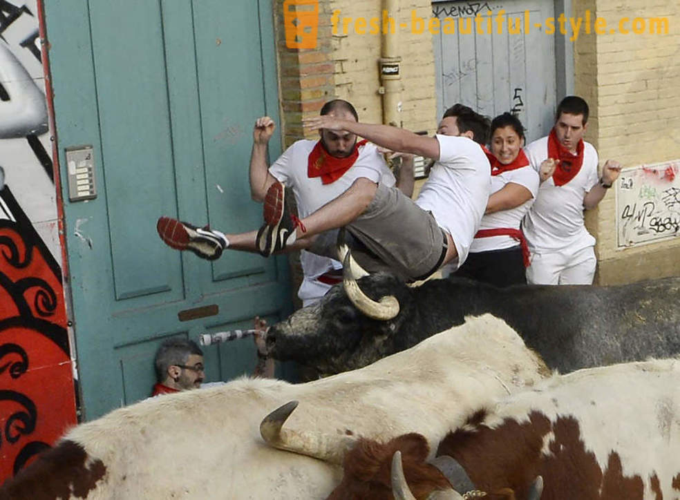 Comment était le fonctionnement annuel des taureaux à Pampelune, Espagne
