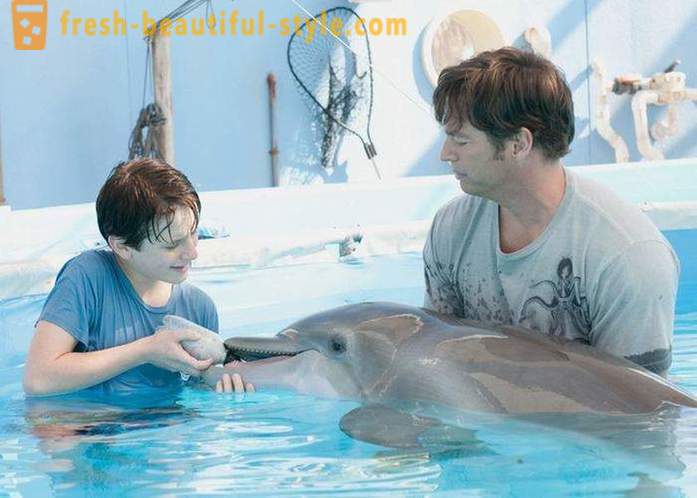 Une sélection de films sur les dauphins
