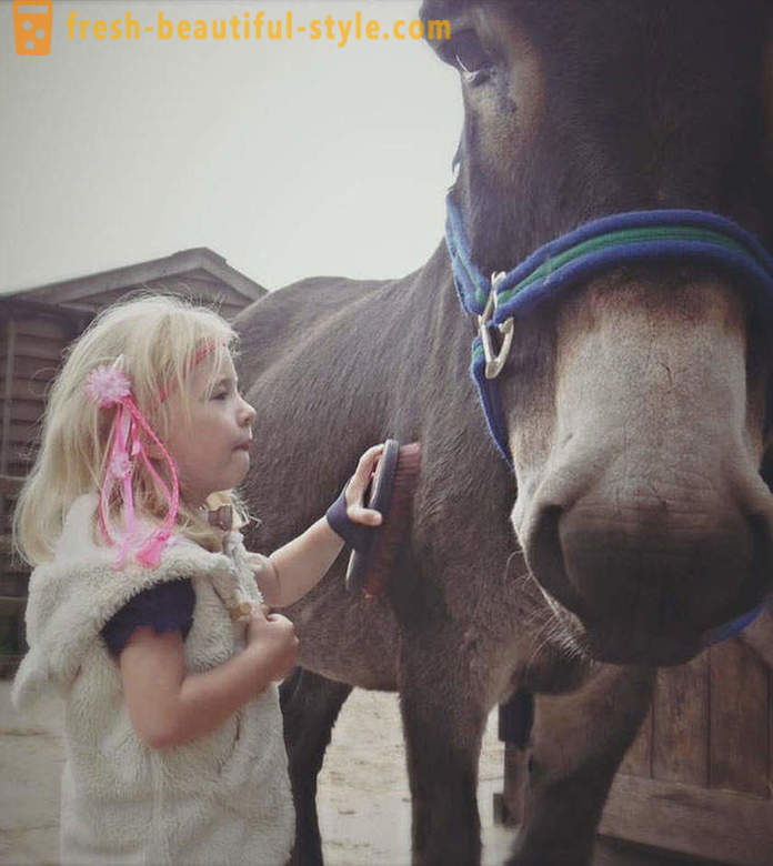 Zoothérapie: une jeune fille muette a commencé à parler à travers un âne
