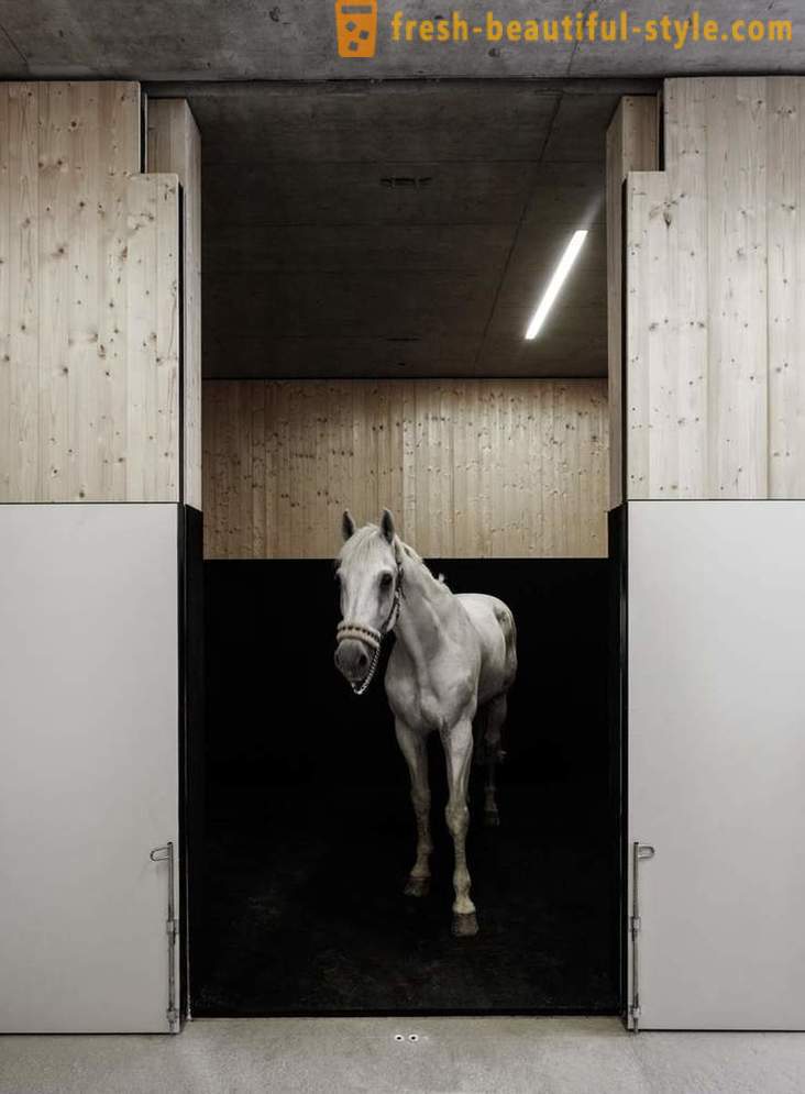 Conception de la clinique vétérinaire pour les chevaux en Autriche