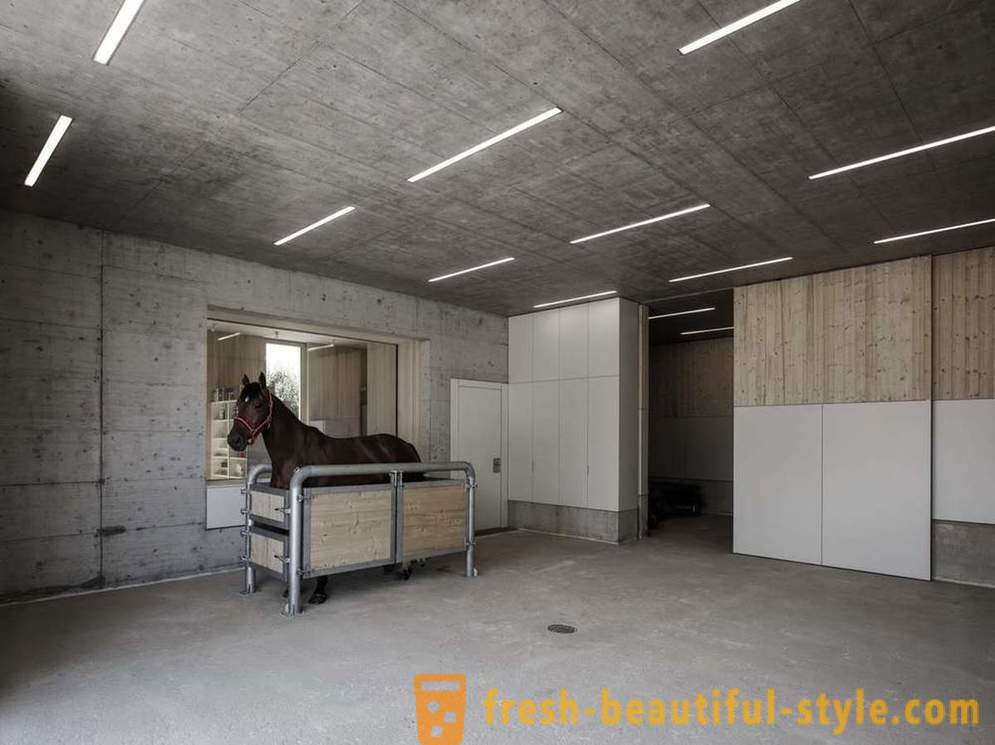Conception de la clinique vétérinaire pour les chevaux en Autriche