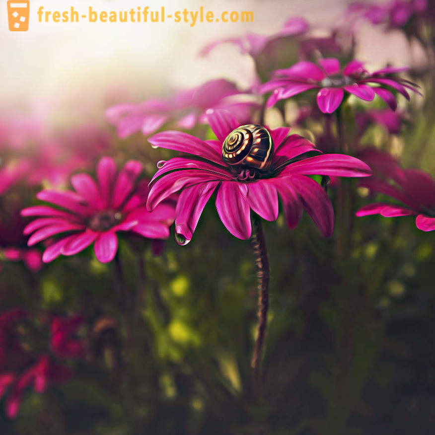 La beauté des fleurs dans la photographie macro. Belles images de fleurs.
