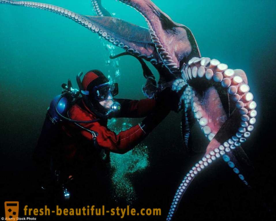 Horreur de la mer profonde: les dangers posés par l'océan