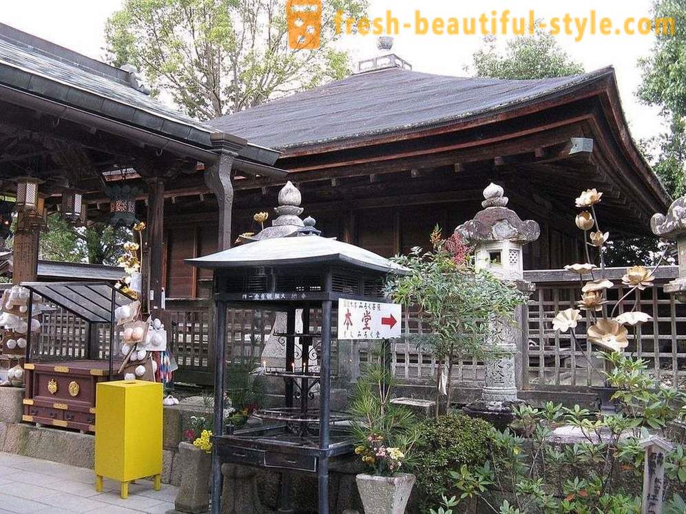 Au Japon, il y a un temple dédié à la poitrine féminine, et c'est bien