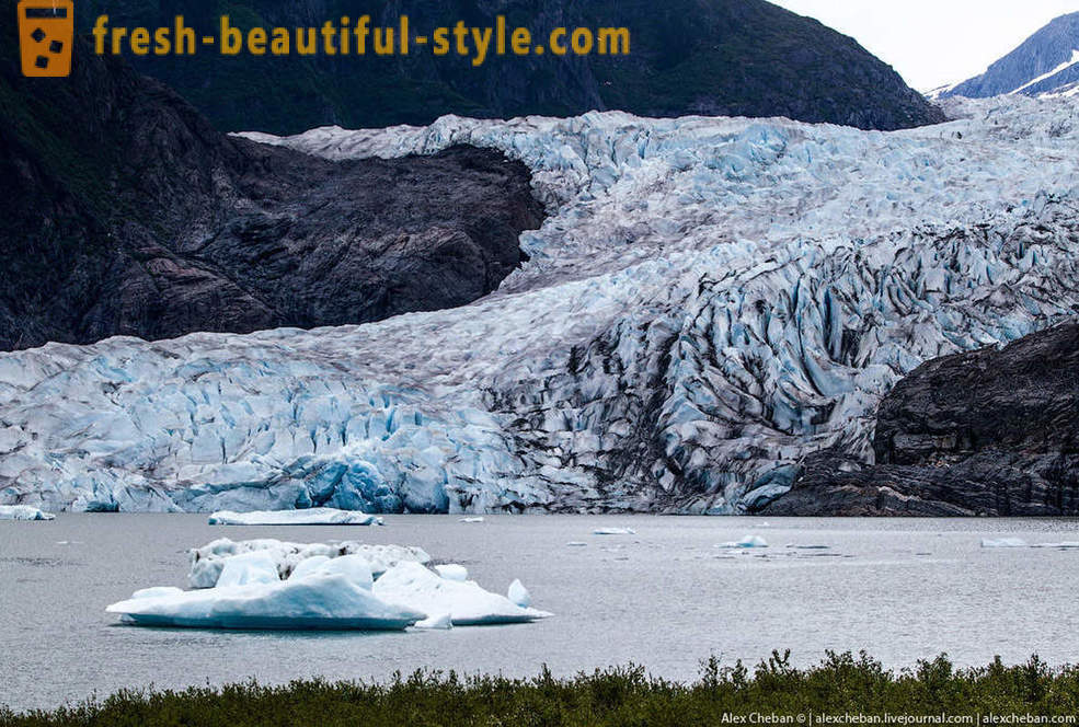 Les glaciers de l'Alaska