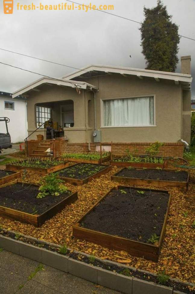 En seulement 60 jours ce gars-là a soulevé un agréable jardin devant la maison