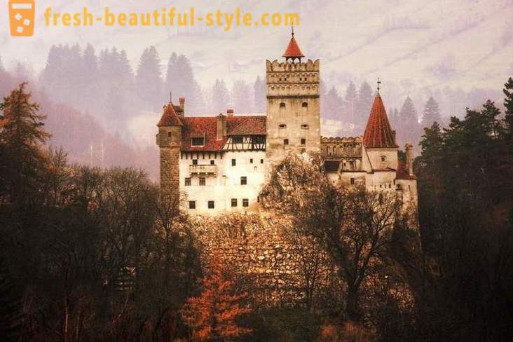 Château Dracula: Transylvanie carte de visite