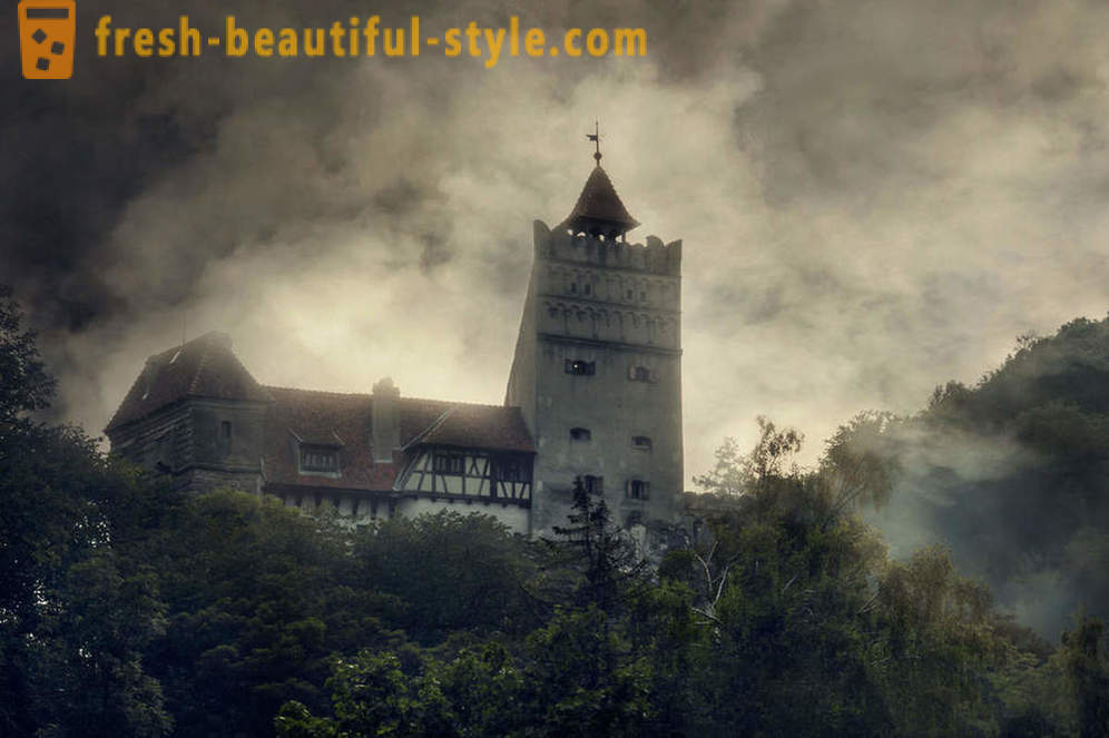 Château Dracula: Transylvanie carte de visite