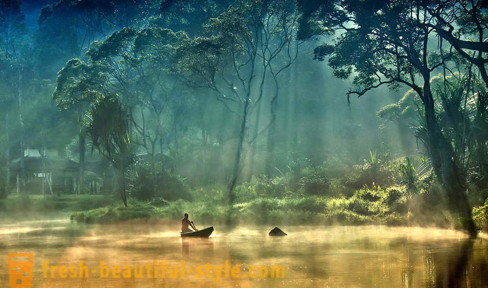 Amazon - merveille naturelle du monde