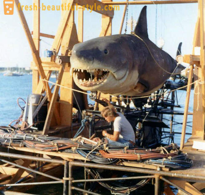 Comment tirer le film « Jaws »