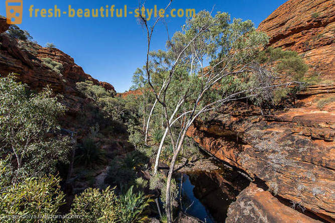 Promenade à travers le Kings Canyon en Australie