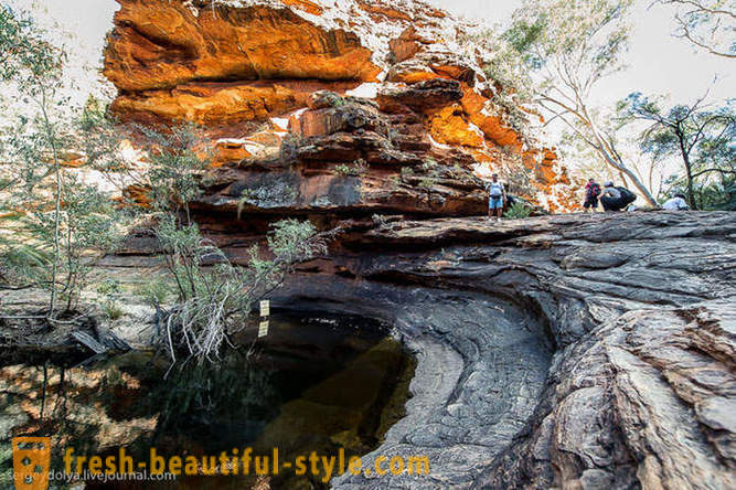 Promenade à travers le Kings Canyon en Australie