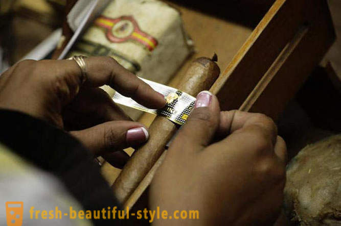 Le processus de création du meilleur des cigares cubains