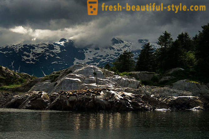 Parc national Glacier Bay en Alaska