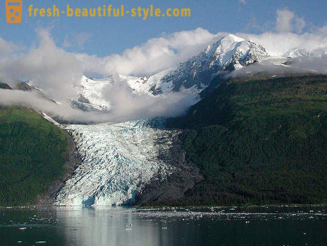 Parc national Glacier Bay en Alaska