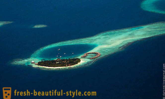 Voler au-dessus des Maldives en hydravion