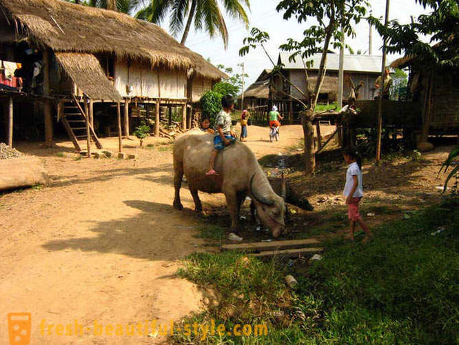 GeoFresher - Comment vivre au Laos