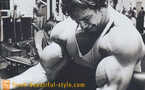 Biceps d'entraînement. Le programme de formation pour les biceps
