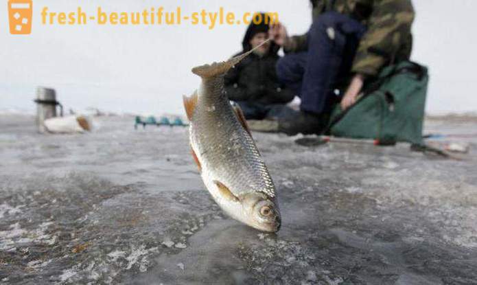 Pêche à Khanty-Mansiysk. Rivière Khanty-Mansiysk
