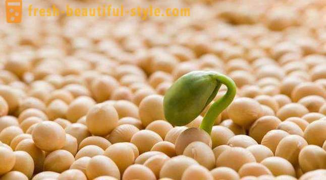 L'utilisation de l'alimentation de protéines de soja isolat: avis