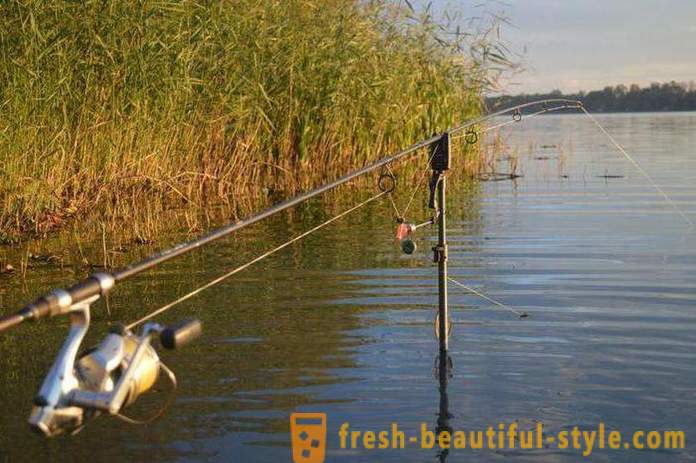 Pêche dans la région de Riazan sur la rivière Oka et d'autres plans d'eau