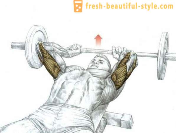 Les meilleurs triceps d'exercice dans la salle de gym