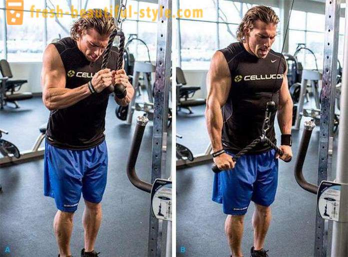 Les meilleurs triceps d'exercice dans la salle de gym