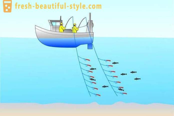 Traîne: la pêche pour les débutants. bateau pêche à la traîne de pêche