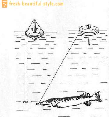 Attraper le brochet cercle: Les caractéristiques du procédé. pêche au brochet sur les cercles sur la rivière, sur le lac