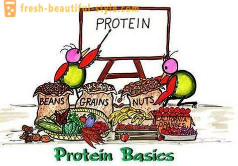 Quelles sont les protéines? Qui et comment prendre des protéines