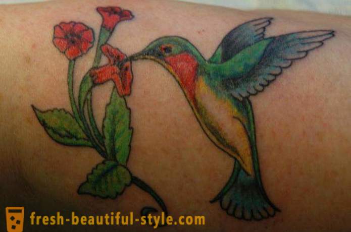 Tatouage colibri - un symbole de la vitalité et de l'énergie
