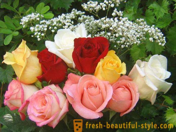 Bouquet de belles roses dans un cadeau