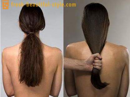 Huile d'Argan Cheveux: avis. L'utilisation de soins capillaires de l'huile d'argan
