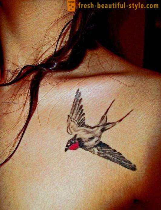 Tatouage « Swallow sur le cou » - le secret de l'image idéale