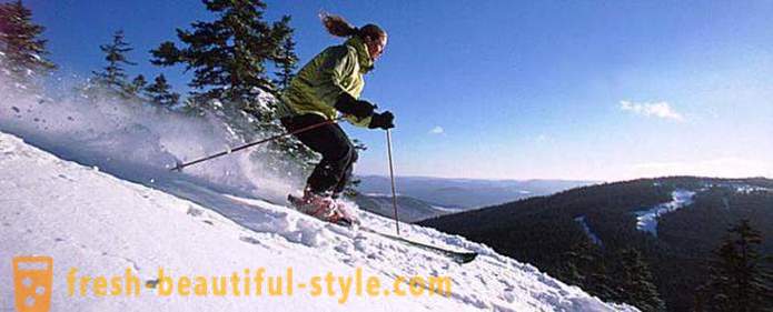 Le ski. L'équipement et les règles de ski ski alpin